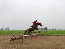 IMG_5970-2_web